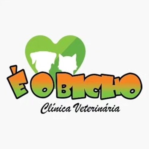 Clínica Veterinária É o Bicho