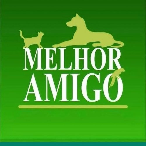 melhor amigo pet