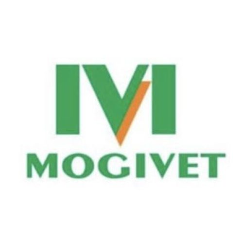 mogivet